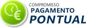 PagamentoPontual 1 300x99